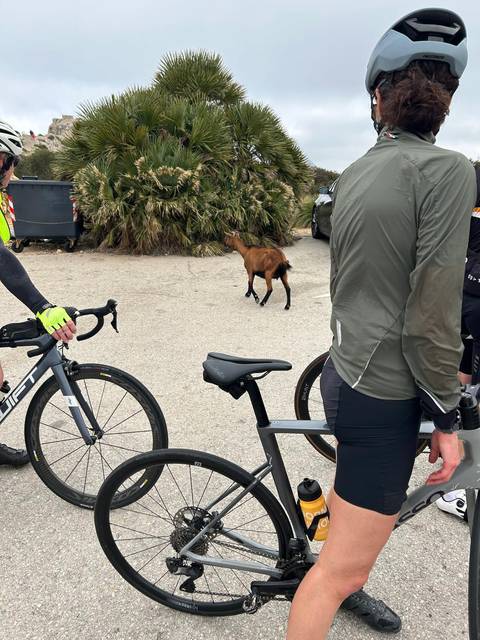 Cycle Claims Direct riders out on the road, photograph 10